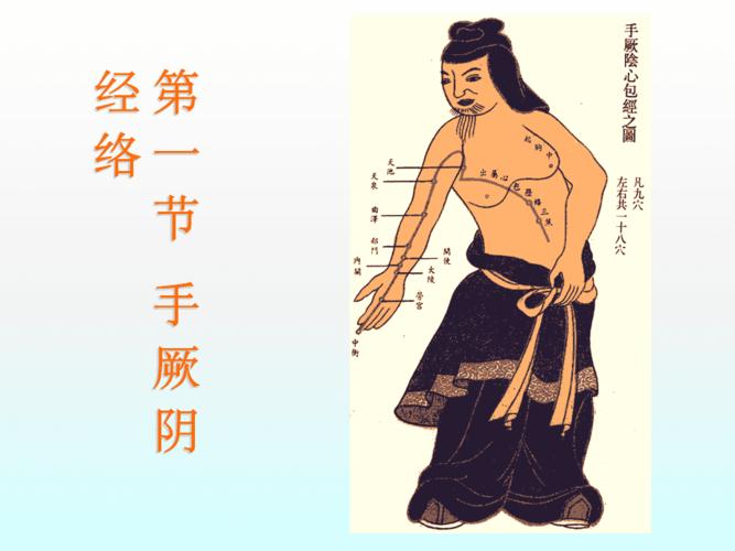 手厥阴心包经