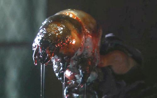 外星寄生虫从人嘴进入体内虫族怪兽把人变异成怪物从而统治人类速看