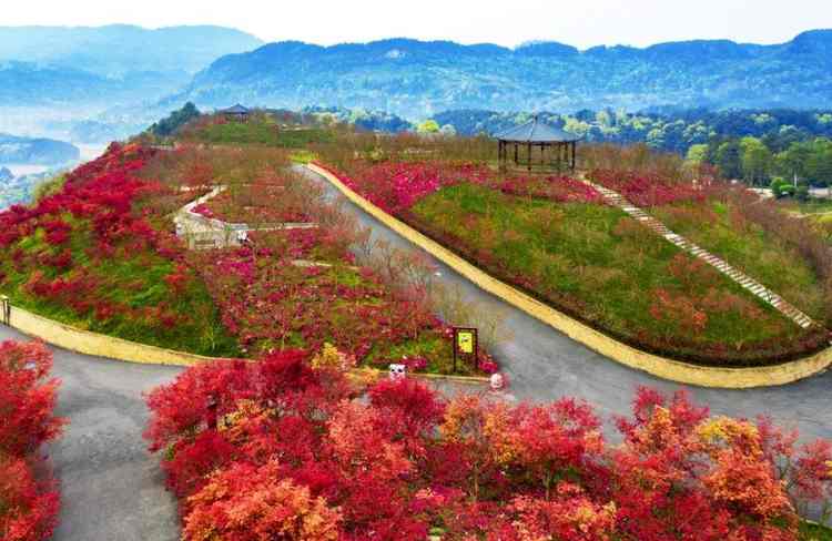巴南红叶景点