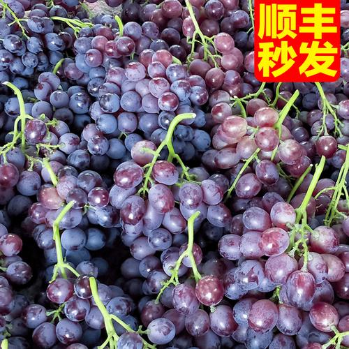 玫瑰香葡萄新鲜水果提子山东大泽山应季当季整箱4斤顺丰包邮