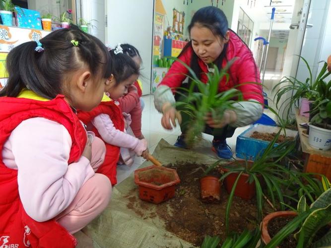 幼儿的春天,从幼儿园的植物角开始——桃花四班我是小小种花农