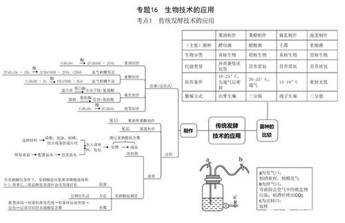 2020高考生物选修一「生物技术实践」思维导图(珍藏版)