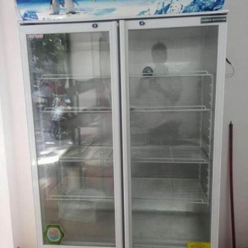 睿美550升双门冰柜冰箱冷柜展示柜