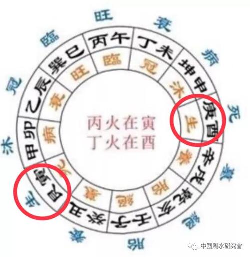 丁火_丁火和巳火有什么不同_丁火男和壬水女