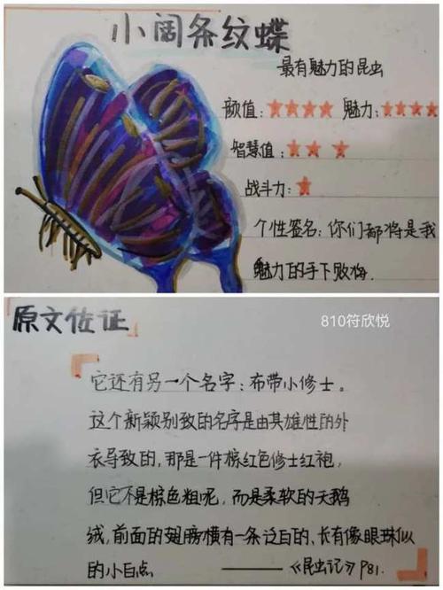孩子们决定界别冠亚军,手绘版《昆虫记》上线