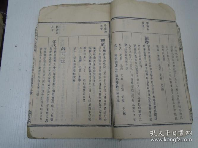 民国版/餘庆堂《高平范氏宗谱》(仁十一公八世孙维智公長子孟爱派紀实
