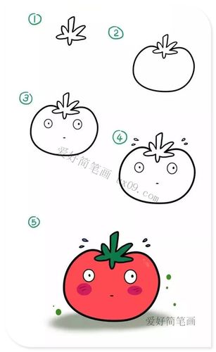 番茄怎么画简单又漂亮
