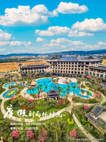 西双版纳雨林时光实景图