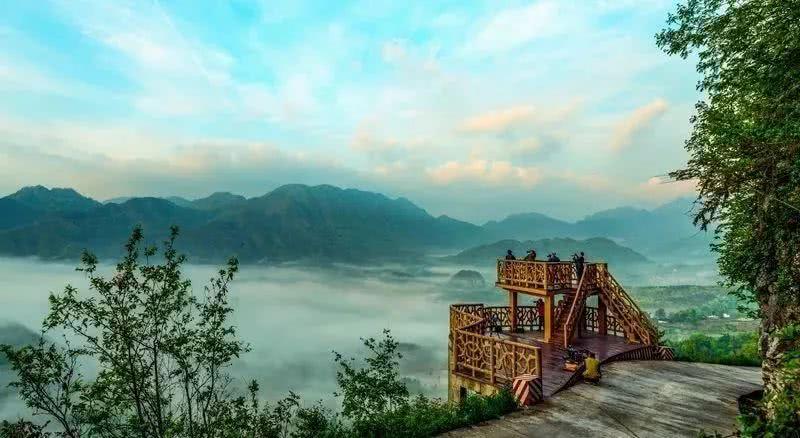 盆景,空山天盆,百花园,景区
