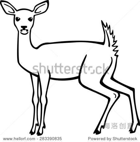 白尾鹿的简笔画可爱