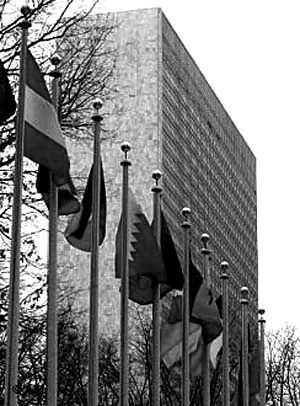 两百中国职员来源不同  在经常进出联合国总部大楼的中国人当中