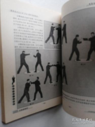 截拳道 功夫汇宗 手击 连环 实战技法「全图解」