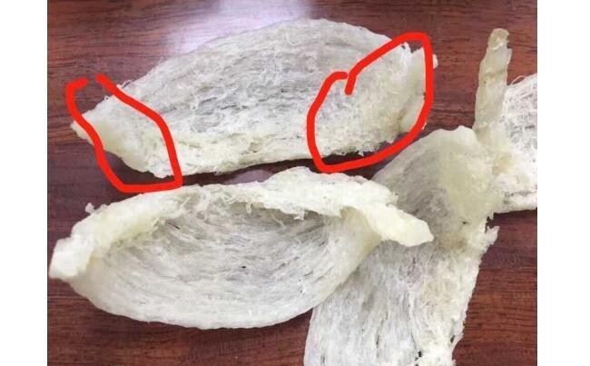 在独处的理论阶段,你很难区分真假燕窝.   燕窝真