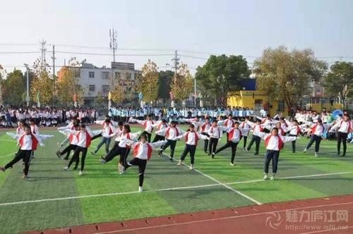 庐江兴华学校2019高考成绩喜人!