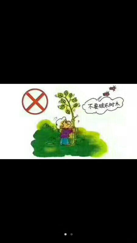 不践踏花草不攀折树枝手抄报 手抄报模板大全