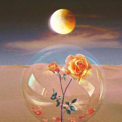 微信最吉利的好看头像风景意境_能带来好运的头像精选