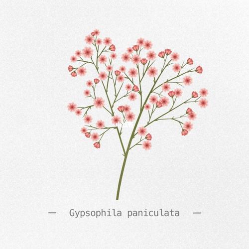 每日一画/满天星_满天星_绘画_绘画日常_文化_绘画