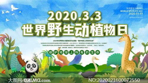 2020野生动植物日宣传展板psd素材
