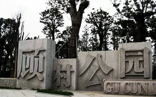 实拍上海最大的郊野公园-----顾村公园