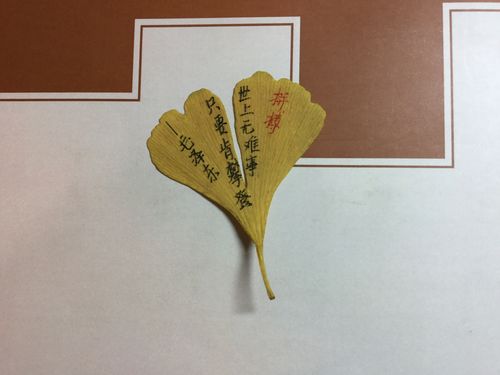 银杏叶书签