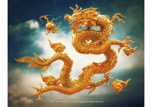 金龙戏珠 red golden dragon 金龙戏珠,red,golden,dragon cg作品 c4d