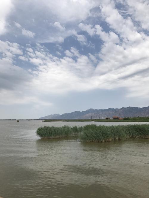 哈素海