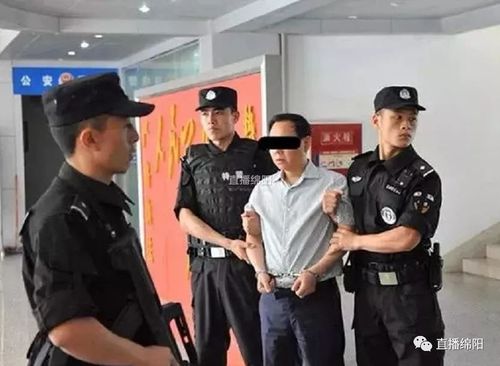 (抓捕图片由平安绵阳提供)   杨顺昌,李孝勇等