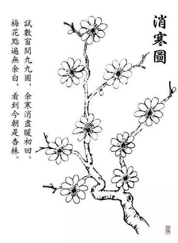 "九九八十一,所谓九九消寒图就是从冬至这天起,画一枝素梅,枝上画梅花