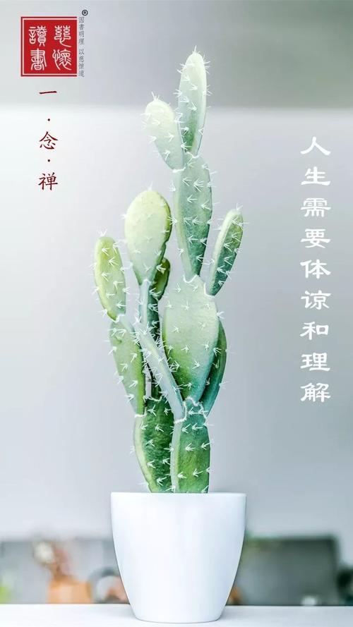 一念禅 | 人生需要体谅和理解