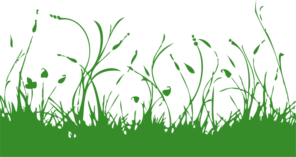小绿草图片大全