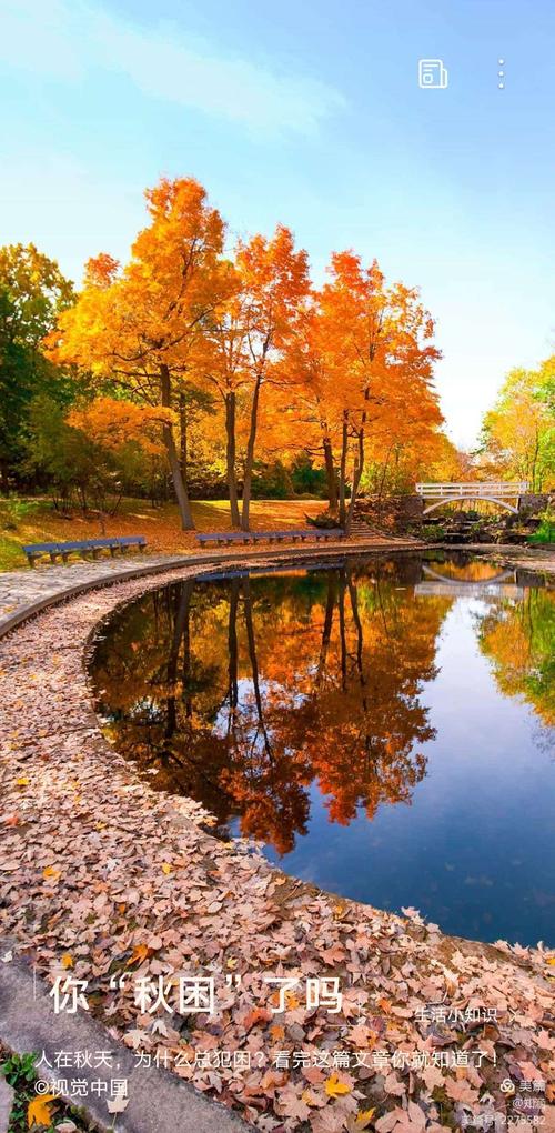 『我漂亮的手机屏保』