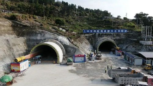 苍南228国道 工程科科长亮相!