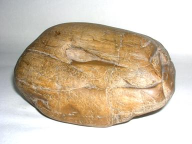 有虫洞的水冲硅化木原石