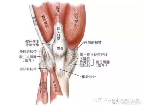 小琢科普讲堂有一种膝盖痛叫做髌骨软化