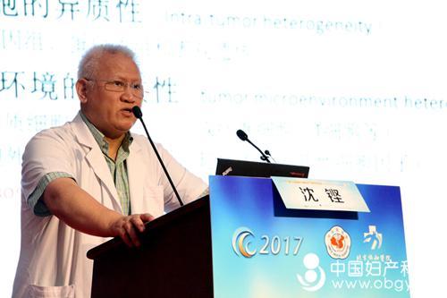 7沈铿.jpg