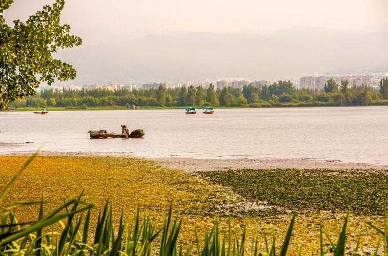 西昌邛海湿地公园风光