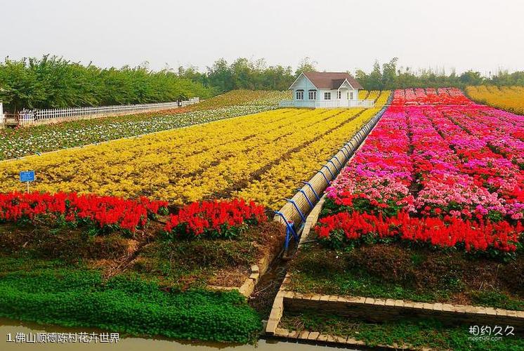 佛山顺德陈村花卉世界旅游攻略(1/共11页)