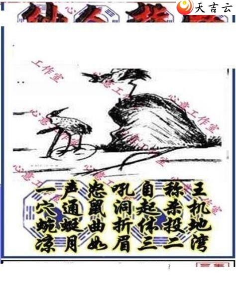 真三毛17246期福彩3d图谜