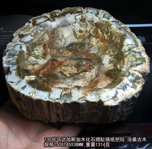 马达加斯加木化石原石手把件树化玉活化石把玩石烟缸摆件观赏收藏_7折