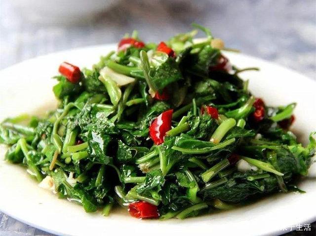 春天一野菜,人称"鸭脚板",曾是喂猪饲料,如今成上好