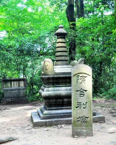 我是东门进,走上山坡道,依次经过电视塔,雷达站,就到了山顶.