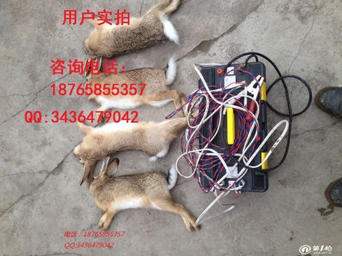 安阳型电捕野猪机在买卖