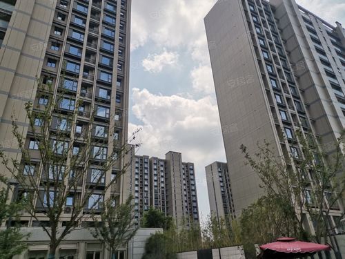 泊云庭,朝阳路33号-苏州泊云庭二手房,租房,房价-苏州