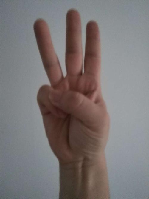 高难度发誓手势你