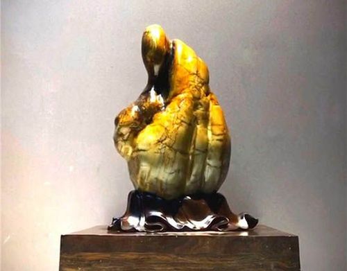 南宁藏家以48万元收藏两方奇石