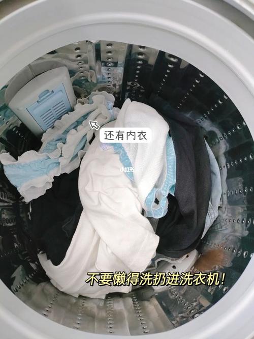 真的不会再用洗衣机洗内衣了_内衣_洗衣机_洗衣液_洗衣服_办公室_消毒