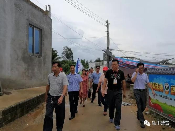 6月17日,碣石镇组织镇干部5人,曾厝村,新酉村,滴水村,红坡村,新丰村