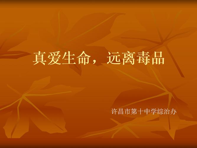 禁毒教育传ppt.ppt