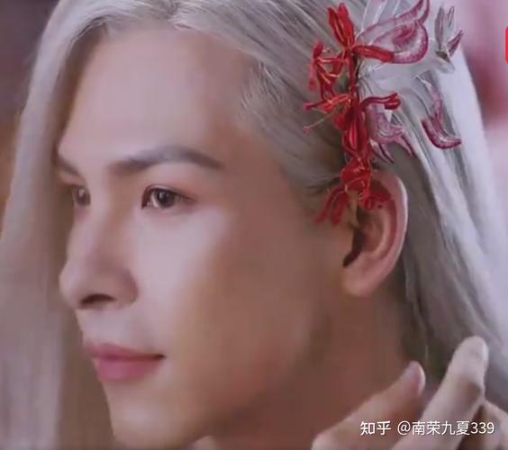 越南自心系列mv观后感