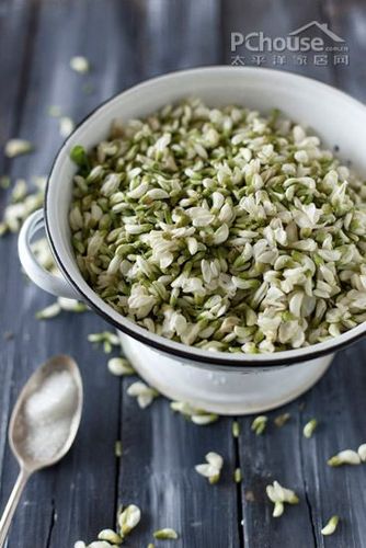 五月槐花香槐花入菜的两种家常吃法